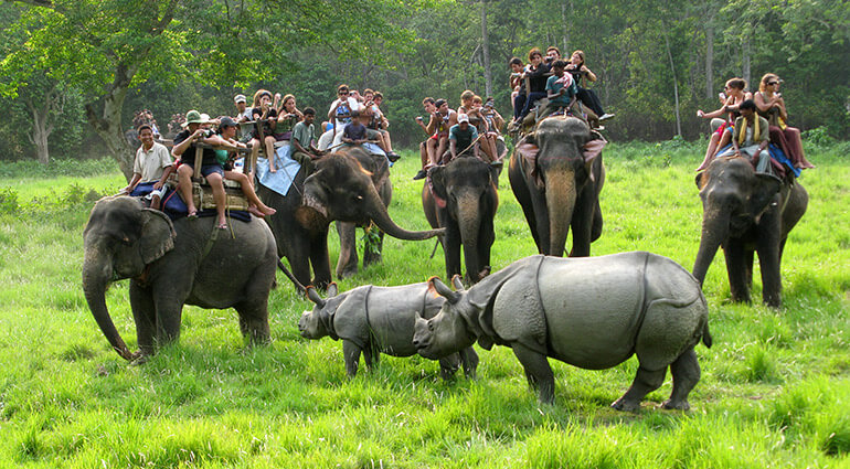 Chitwan tour